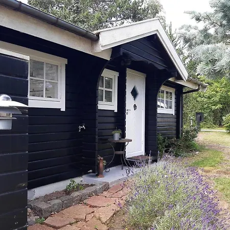 Two Log Near Rageleje